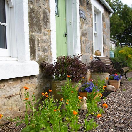 Balmungo Cottage B&B セント・アンドルーズ エクステリア 写真