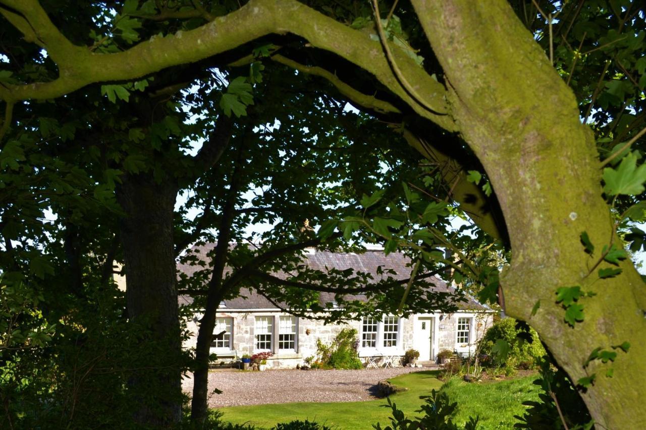 Balmungo Cottage B&B セント・アンドルーズ エクステリア 写真